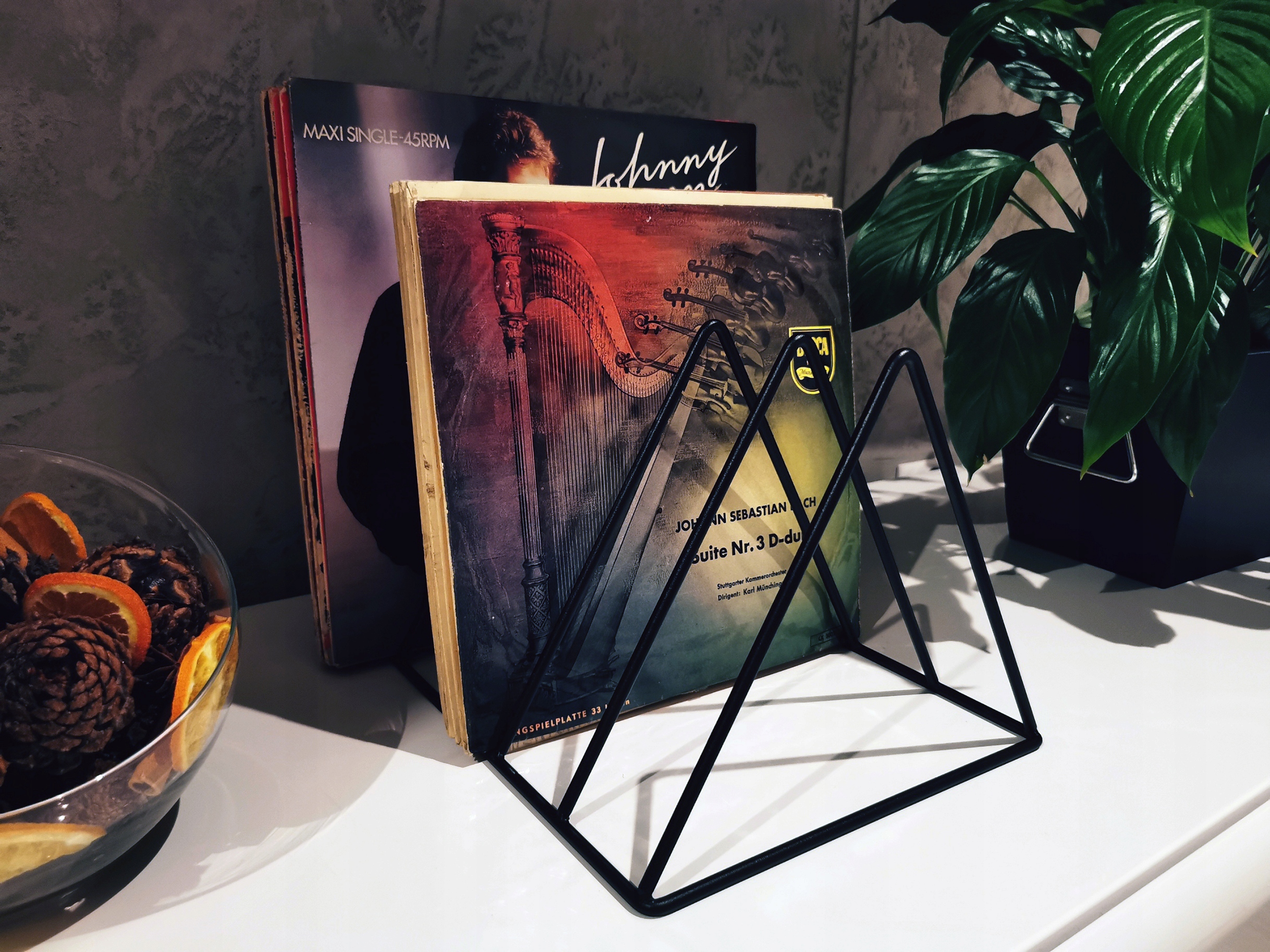 STOJAK NA WINYLE PŁYTY WINYLOWE ŁATWA SEGREGACJA PŁYT ORGANIZER NOWOCZESNY Model 0