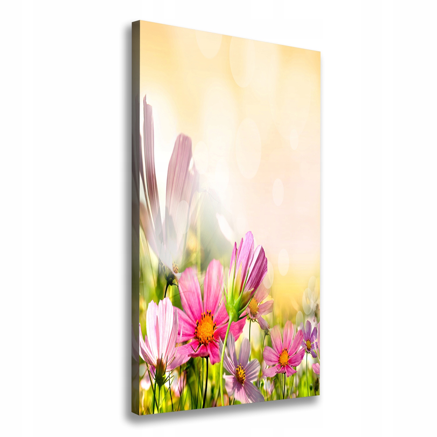

Foto obraz canvas do salonu Polne kwiaty 60x120