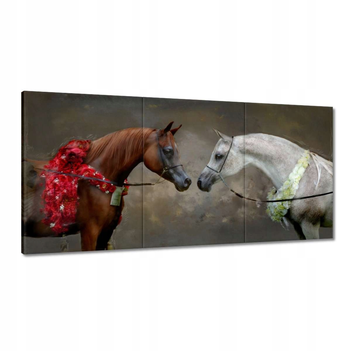 Obrazy 120x60 Kůň Koně Jezdectví