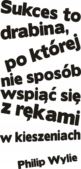 

Napis na ścianę, naklejka - Sukces to drabina 109
