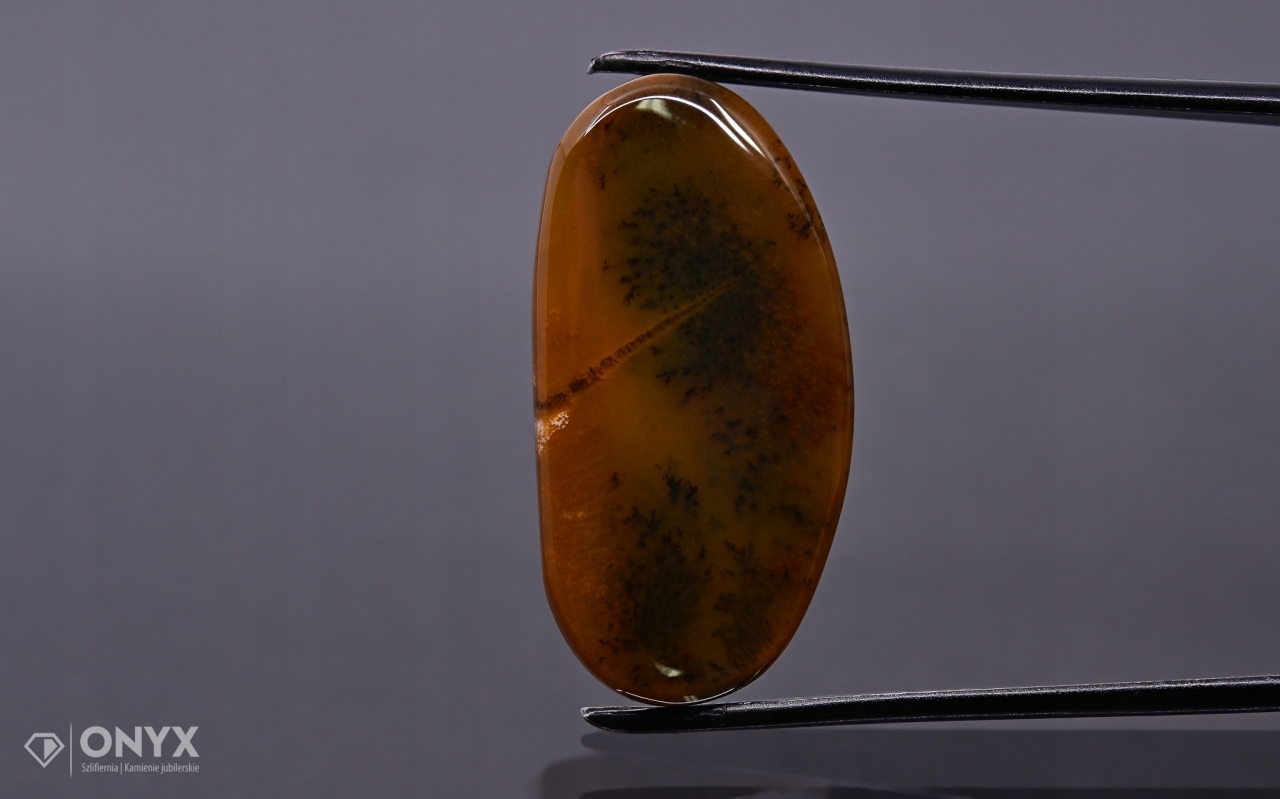 Dendritový achát z Kazachstánu nepravidelná destička