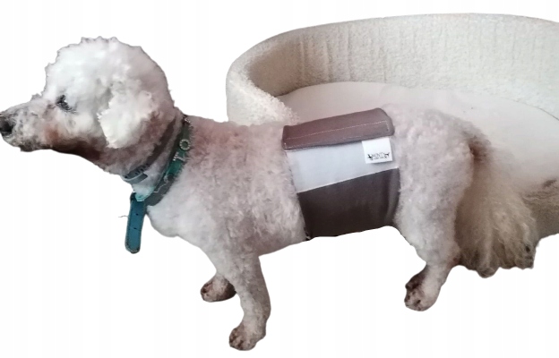 Levně Pleny pro psa pásy 2ks XXL 75-92cm