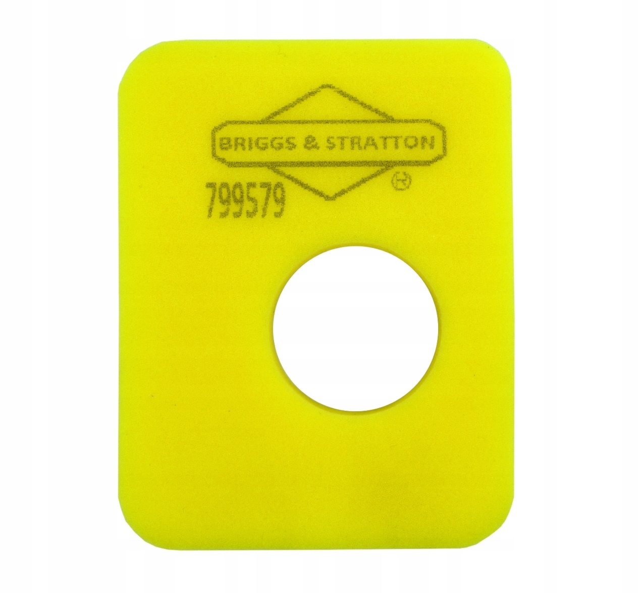

Filtr Powietrza 799579 Briggs Stratton
