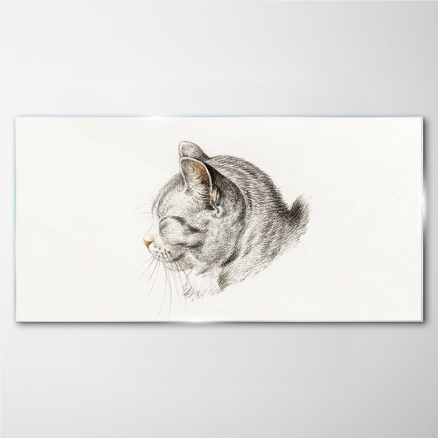 

Foto-obraz szklany na ścianę Zwierzę kot 140x70