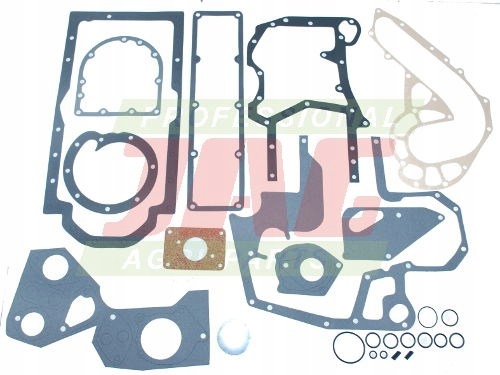 Sada těsnění motoru dole Case 3000 33 3136813R99 1967011C1