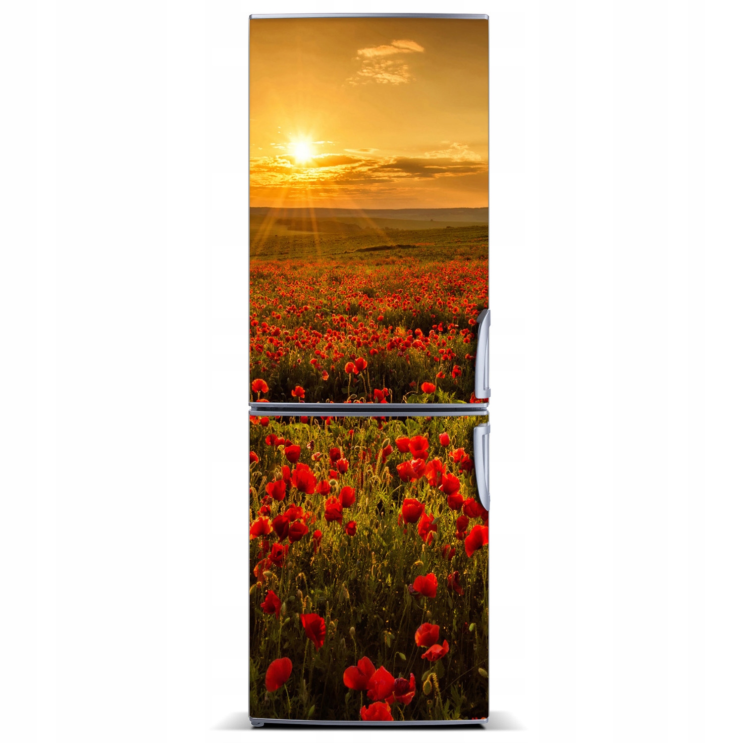 

Naklejka na lodówkę Krajobrazy Pole maków 60x180