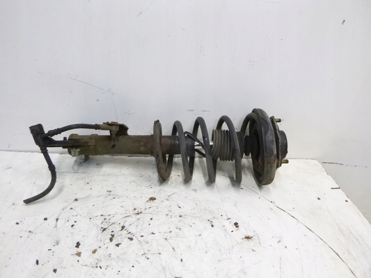 shock absorber front Nissan Primera P12 1.8 02-07r.