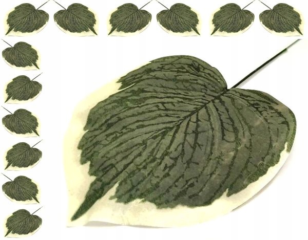 

Liść Melon green/white Micro Touch 12 szt