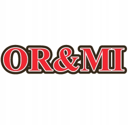 ORYGINALNA TORBA TECZKA NA LAPTOPA AKTÓWKA DO RĘKI LUB NA RAMIĘ MARKI ORMI Rodzaj torba