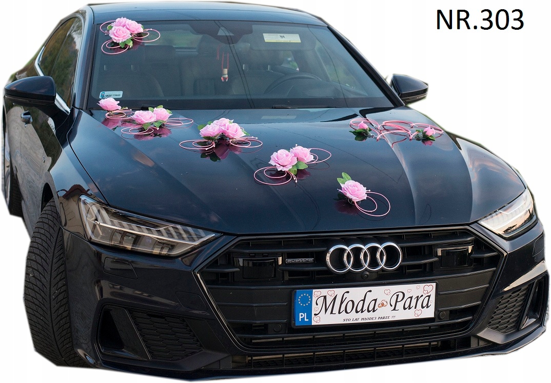 Na Přísavce Dekorace ozdoba auta 303