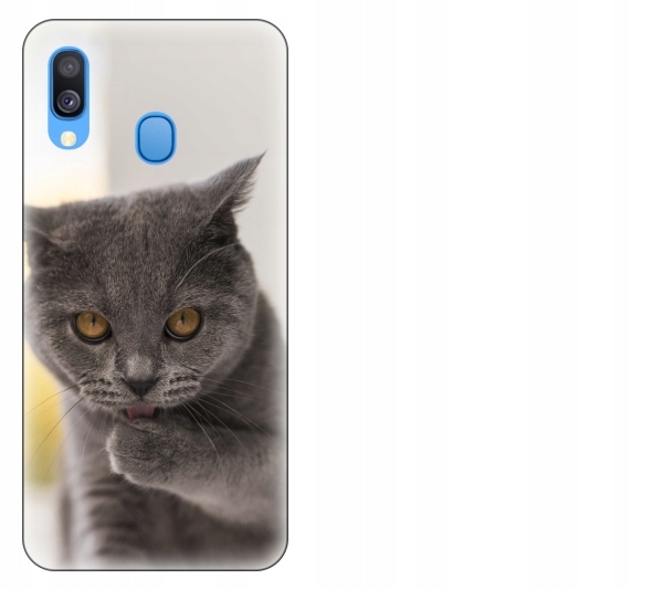 

Etui pokrowiec Samsung Galaxy A40 Kot kotek smiesz
