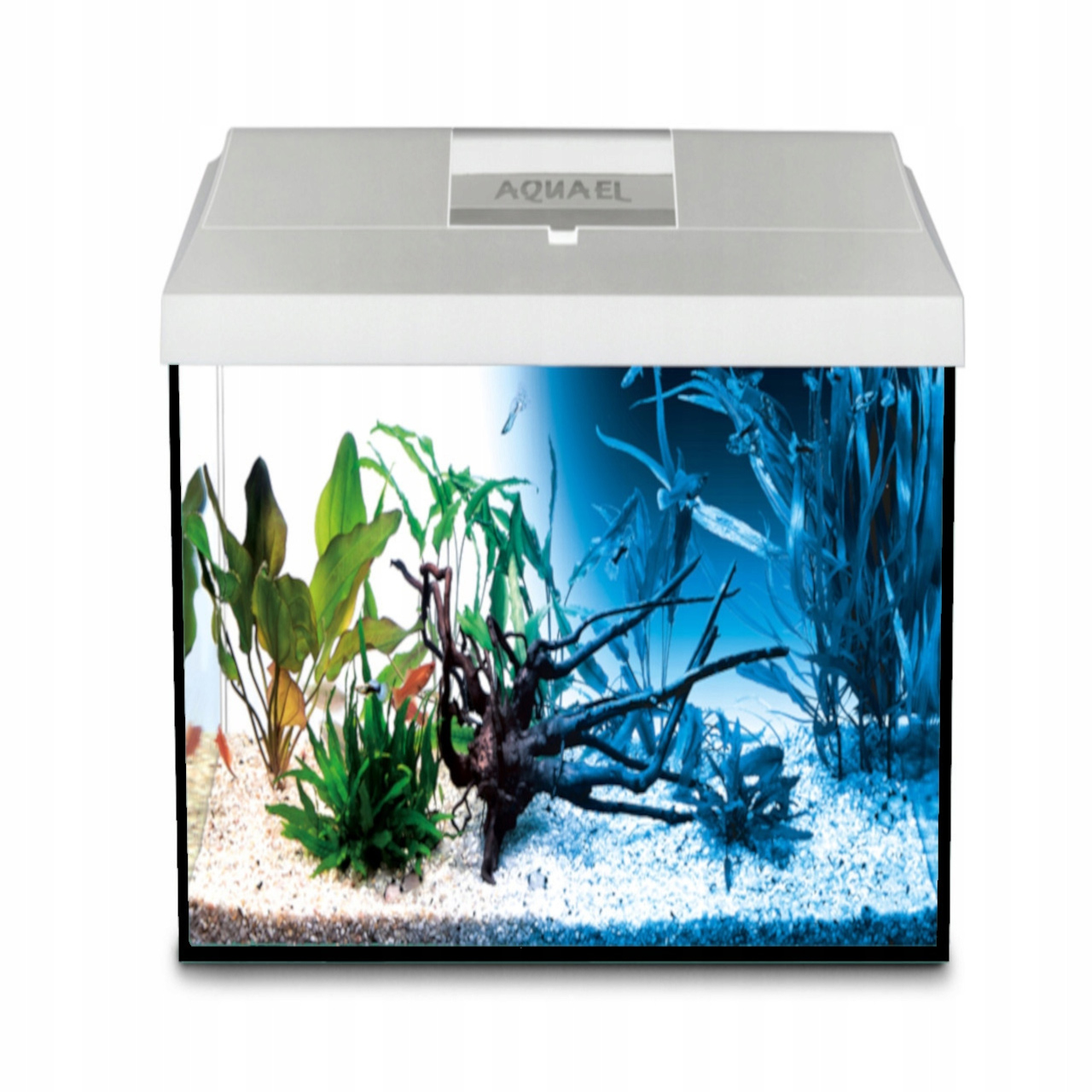 Akwarium 40L 40x25x40cm Pokrywa Leddy Dzień/noc BIAŁA+4gratisy Antyglon