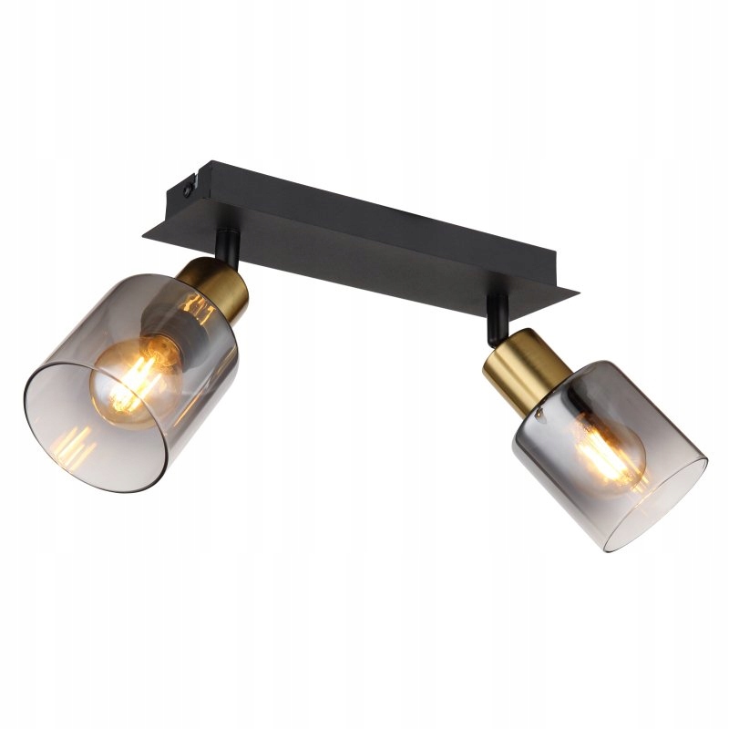 Lampa spot reflektor Hollsy 54310-2 Globo