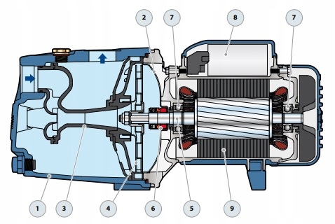 Pompa JSWm 2AX Pedrollo ITALY Kod producenta 8052230012607