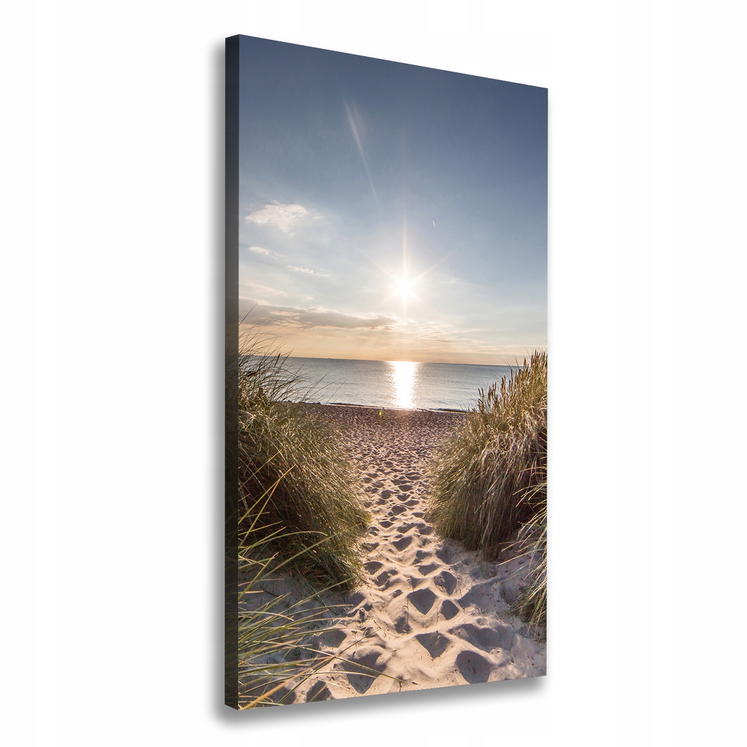 

Foto obraz na płótnie Nadmorskie wydmy 50x100 cm