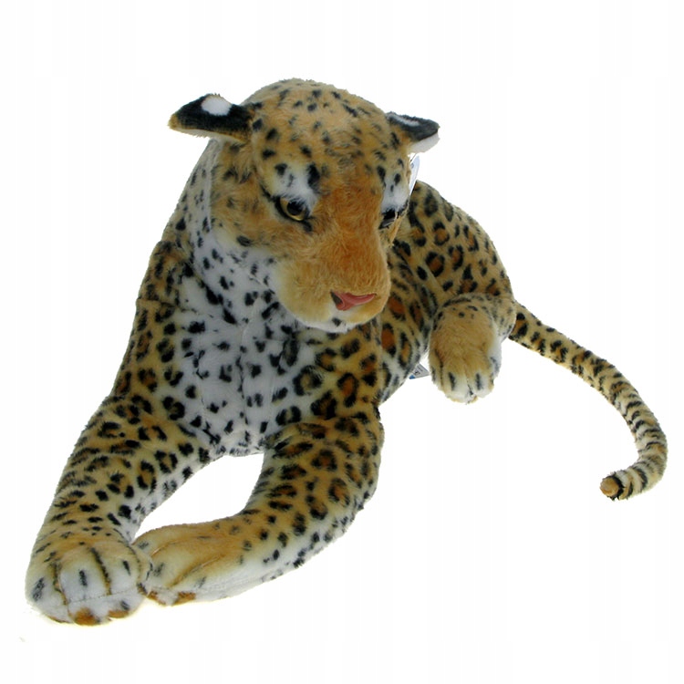 

Zoo: Maskotka Gepard leżący 55cm (16825)