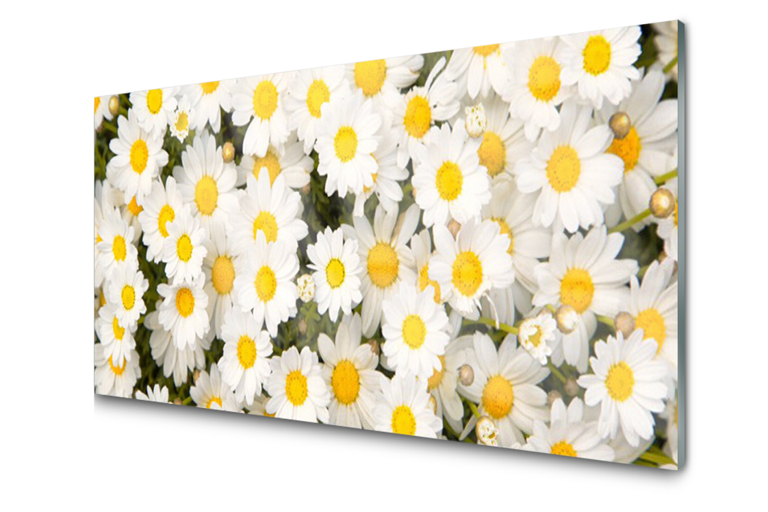 

Panel szklany Płytka Stokrotki Kwiaty 100x50