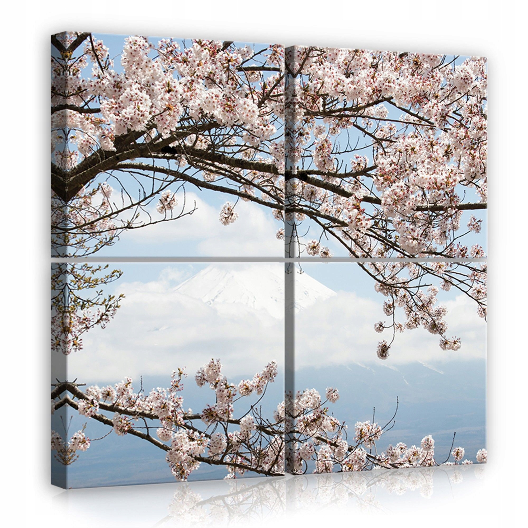 Obraz 50x50 Sakura kvetení třešní Fuji Japonsko jaro krajina příroda