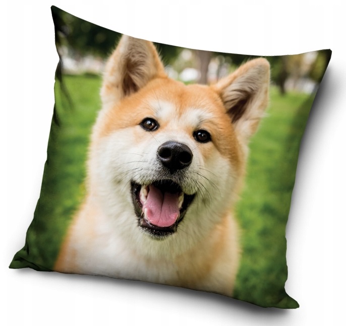 

Poduszka ozdobna Pies piesek Corgi jasiek 40x40