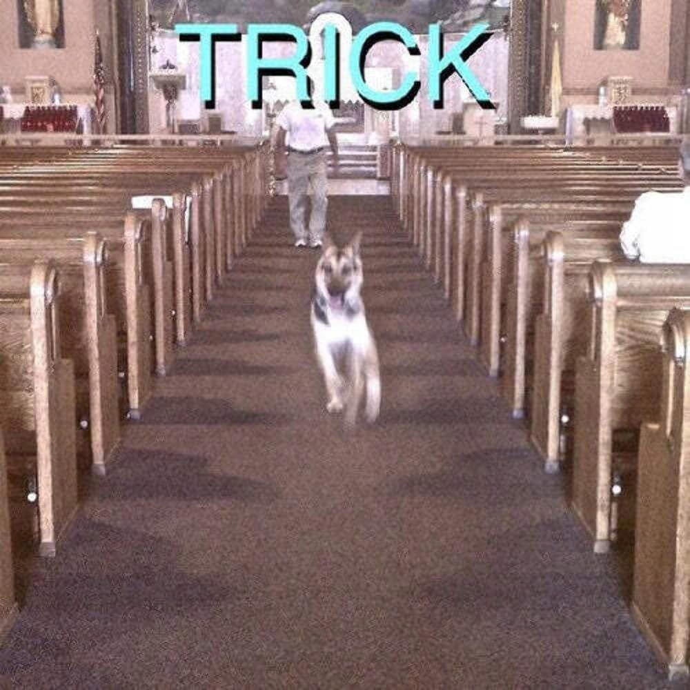 Alex G: Trick [2XWINYL]