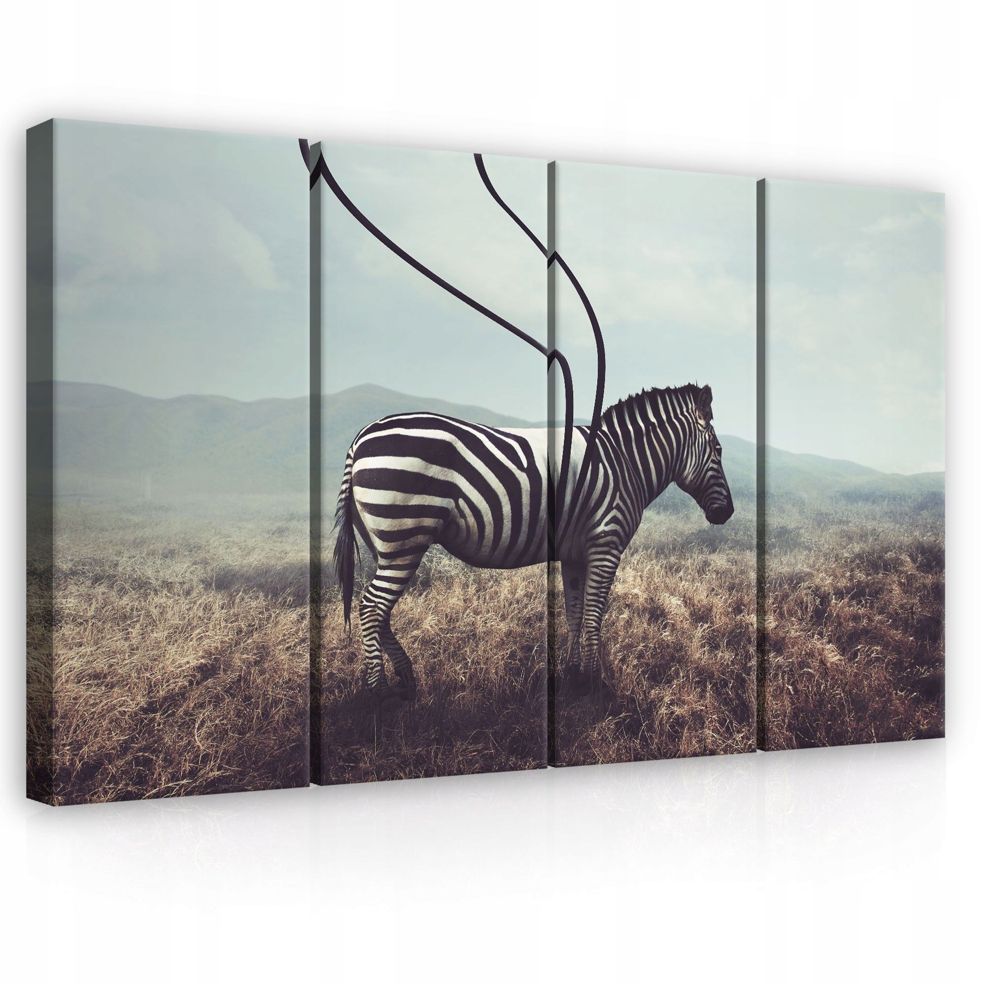 Obraz 120x80 Zebra príroda surrealizmus abstrakcia step osamelosť priestor