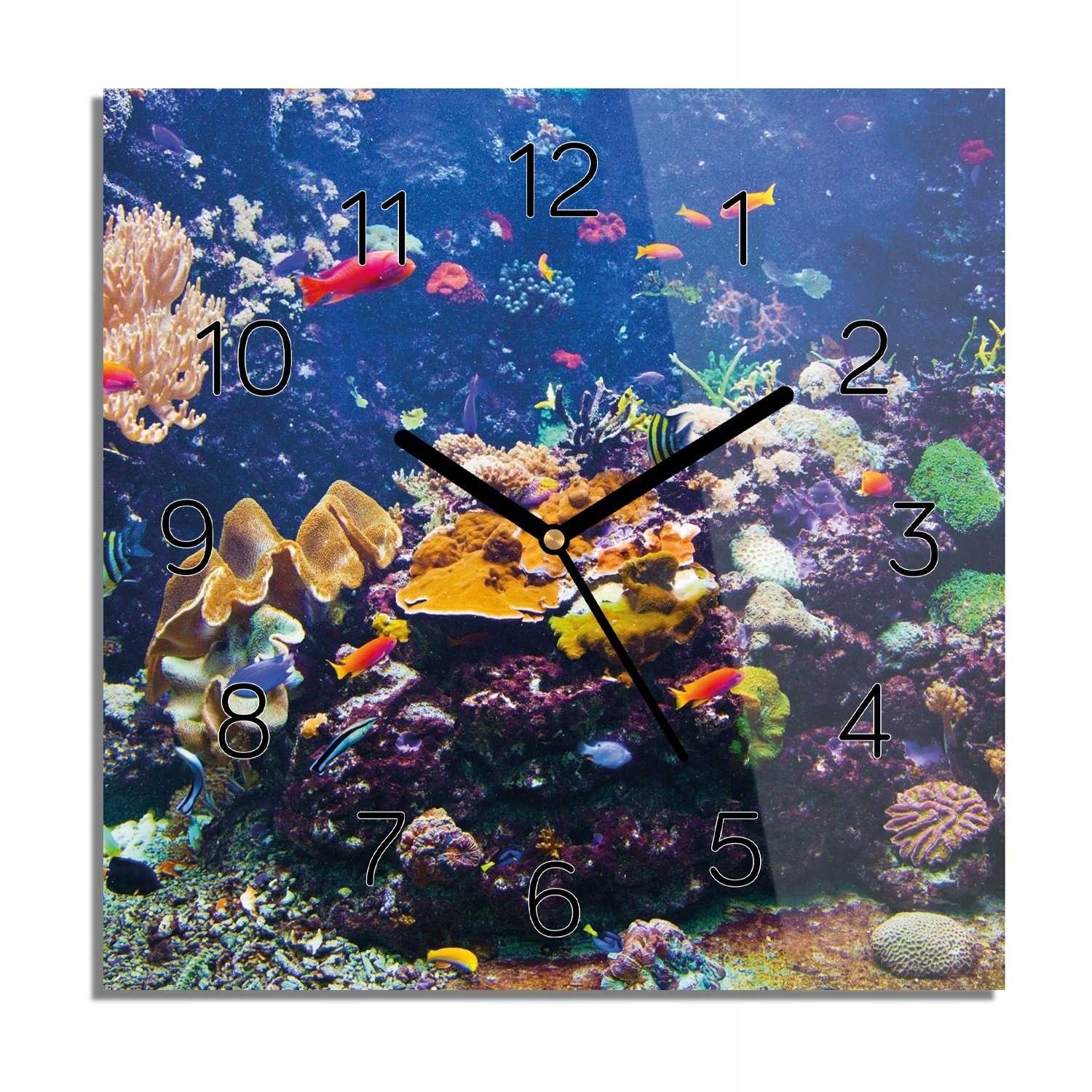 

Fauna rafa koralowa zegar na szkle do salonu 30x30