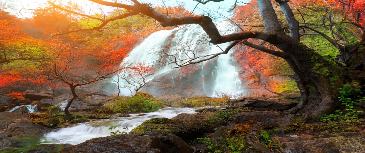 

Fototapeta Flizelinowa Wodospad Tajlandia 250x104