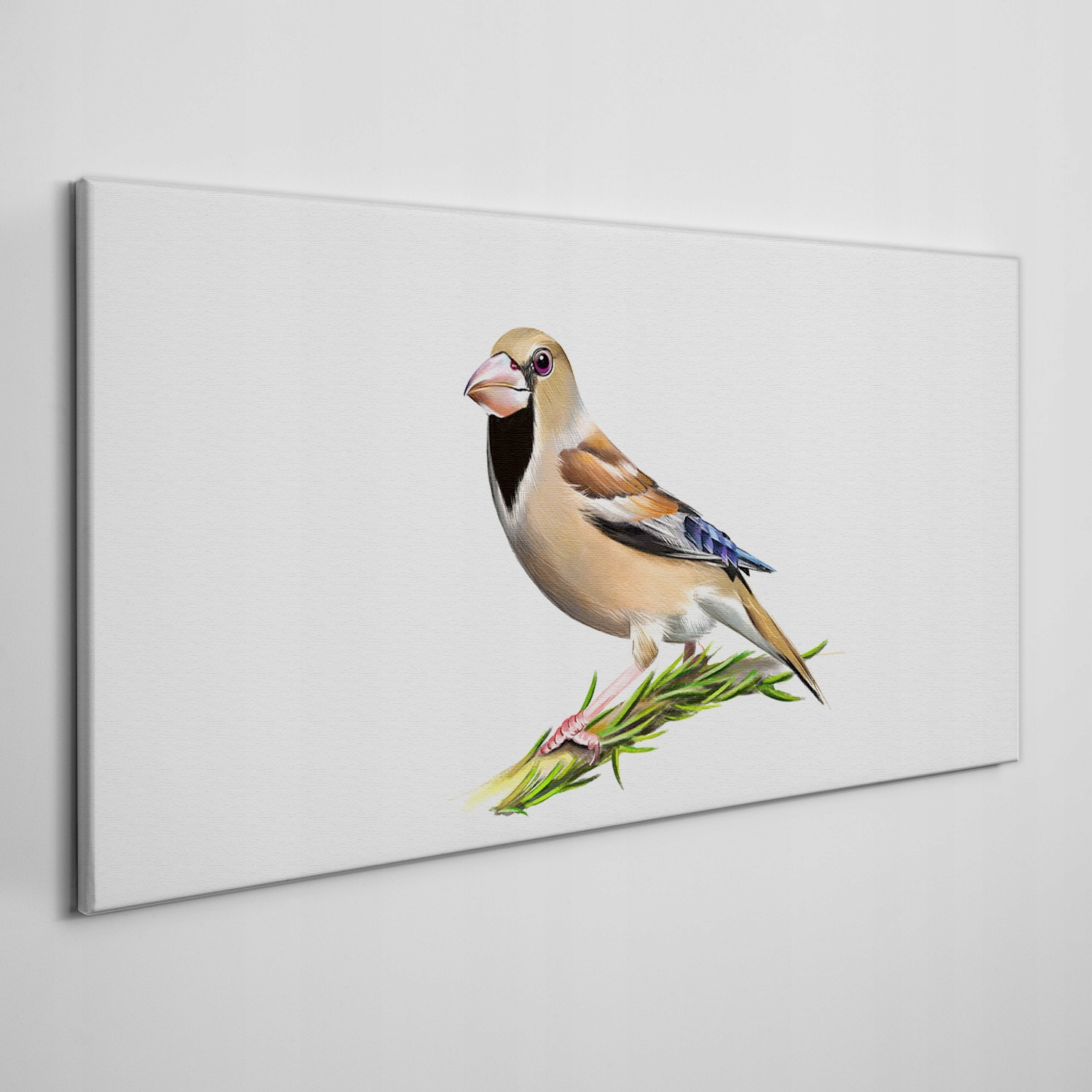 

Ścienny fotoobraz na płótnie Zwierzę ptak 140x70