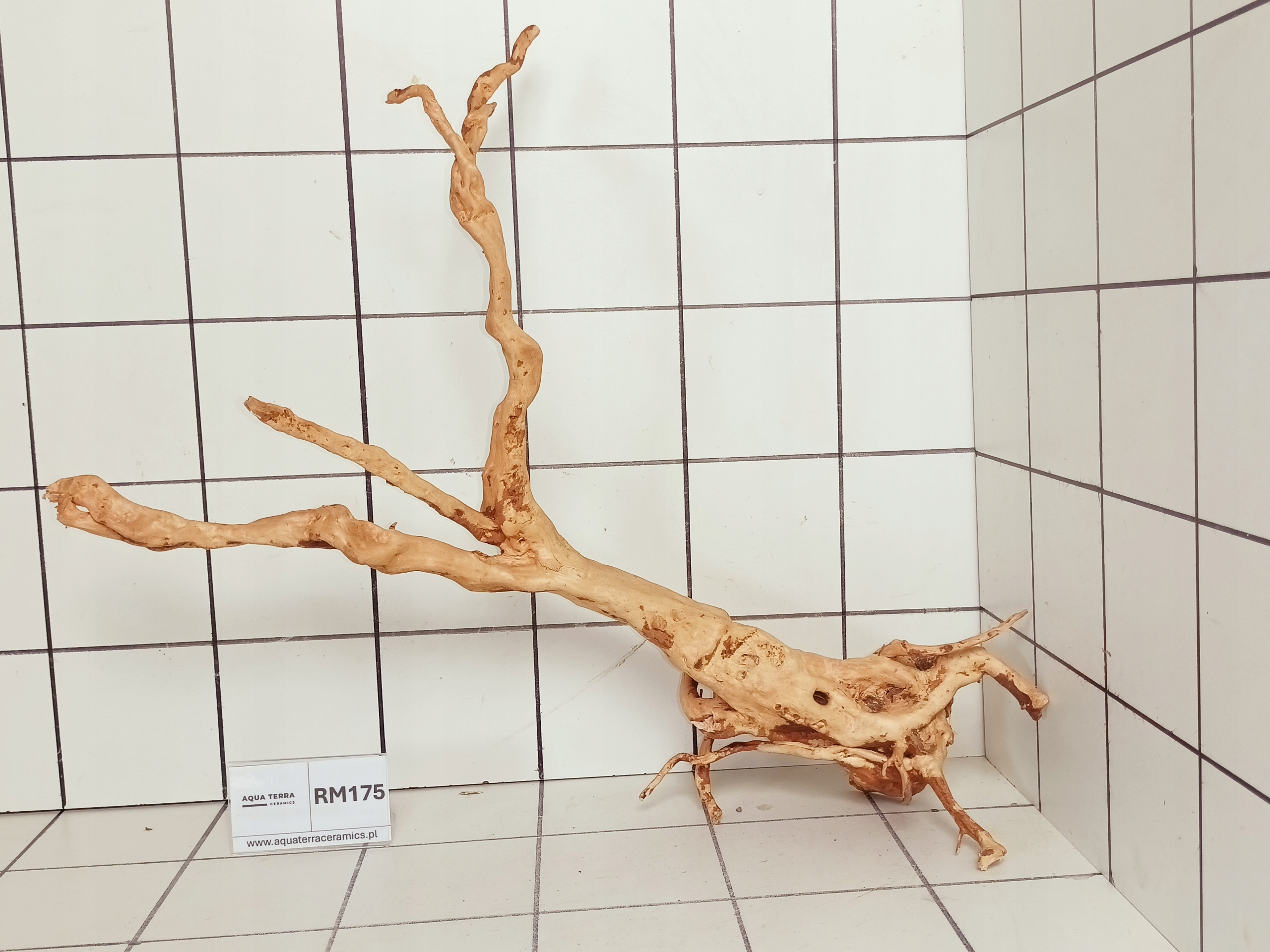 Korzeń Japoński Do Akwarium Terrarium Red Moor RM175 (to co na zdjęciu)