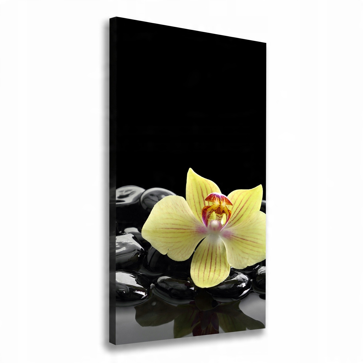 

Foto obraz na płótnie Orchidea i kamienie 50x100cm