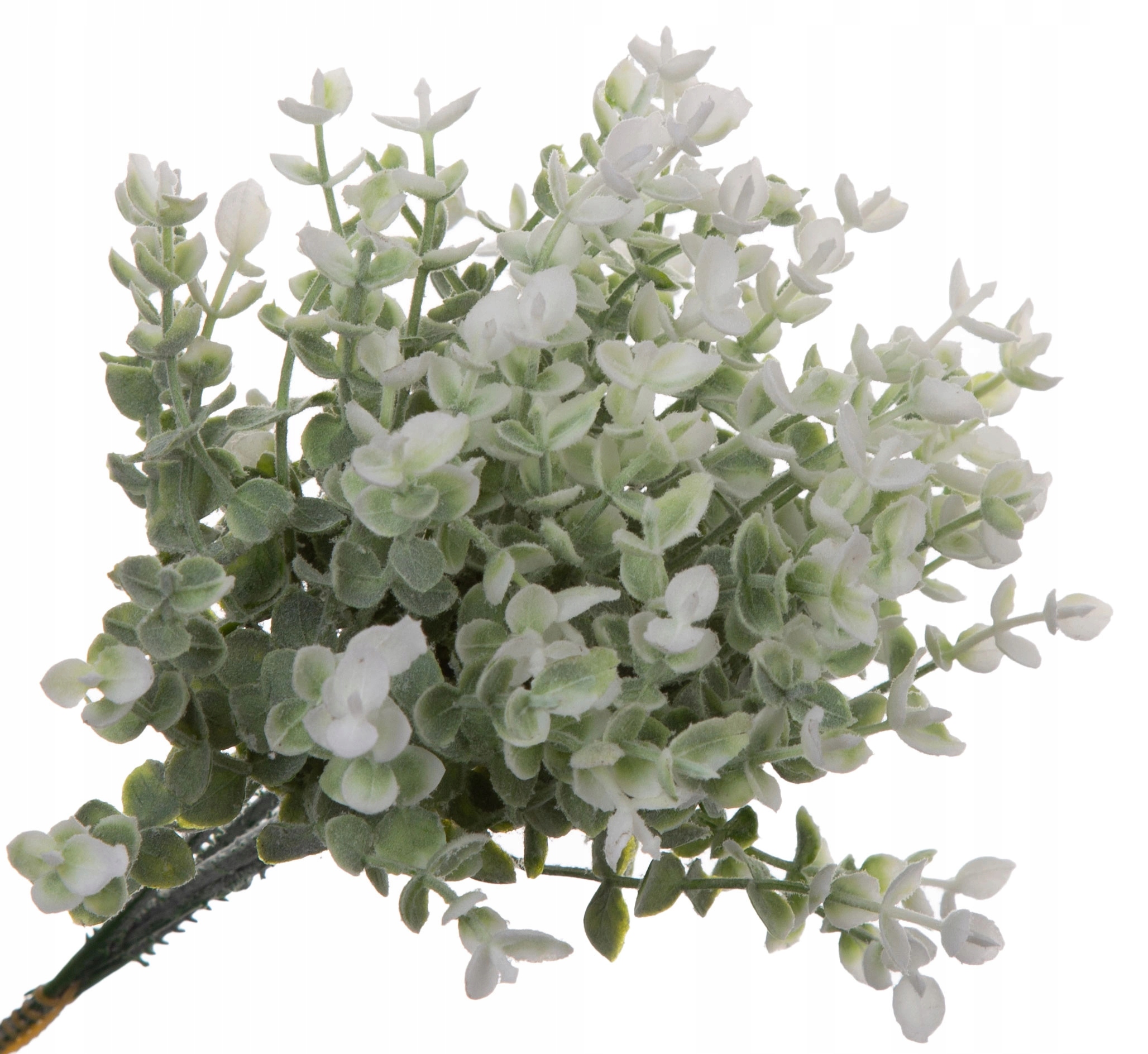 EUKALIPTUS MINI 6X GAŁĄZKA DODATEK SZTUCZNY 23 CM Marka inna