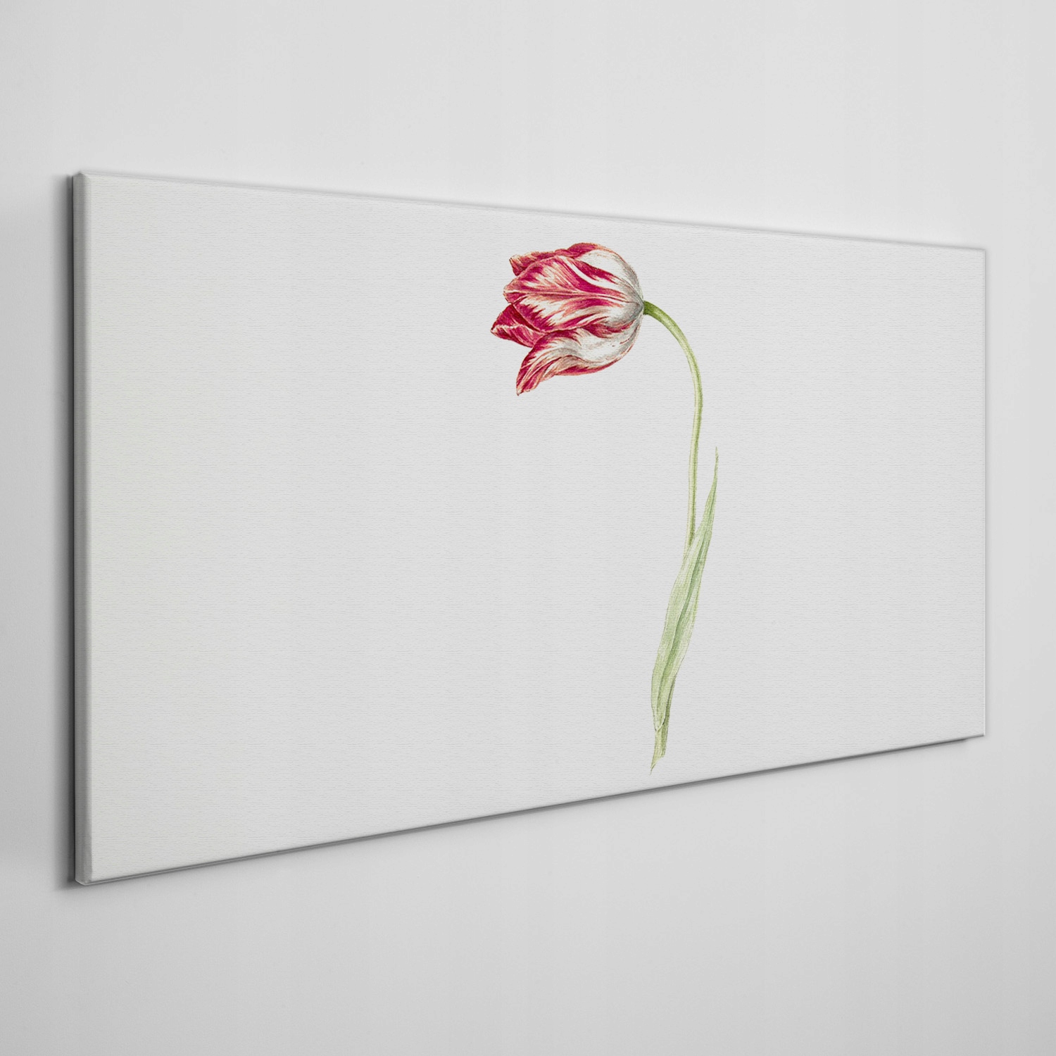 

Obraz ścienny na płótnie Kwiaty rośliny 120x60 cm