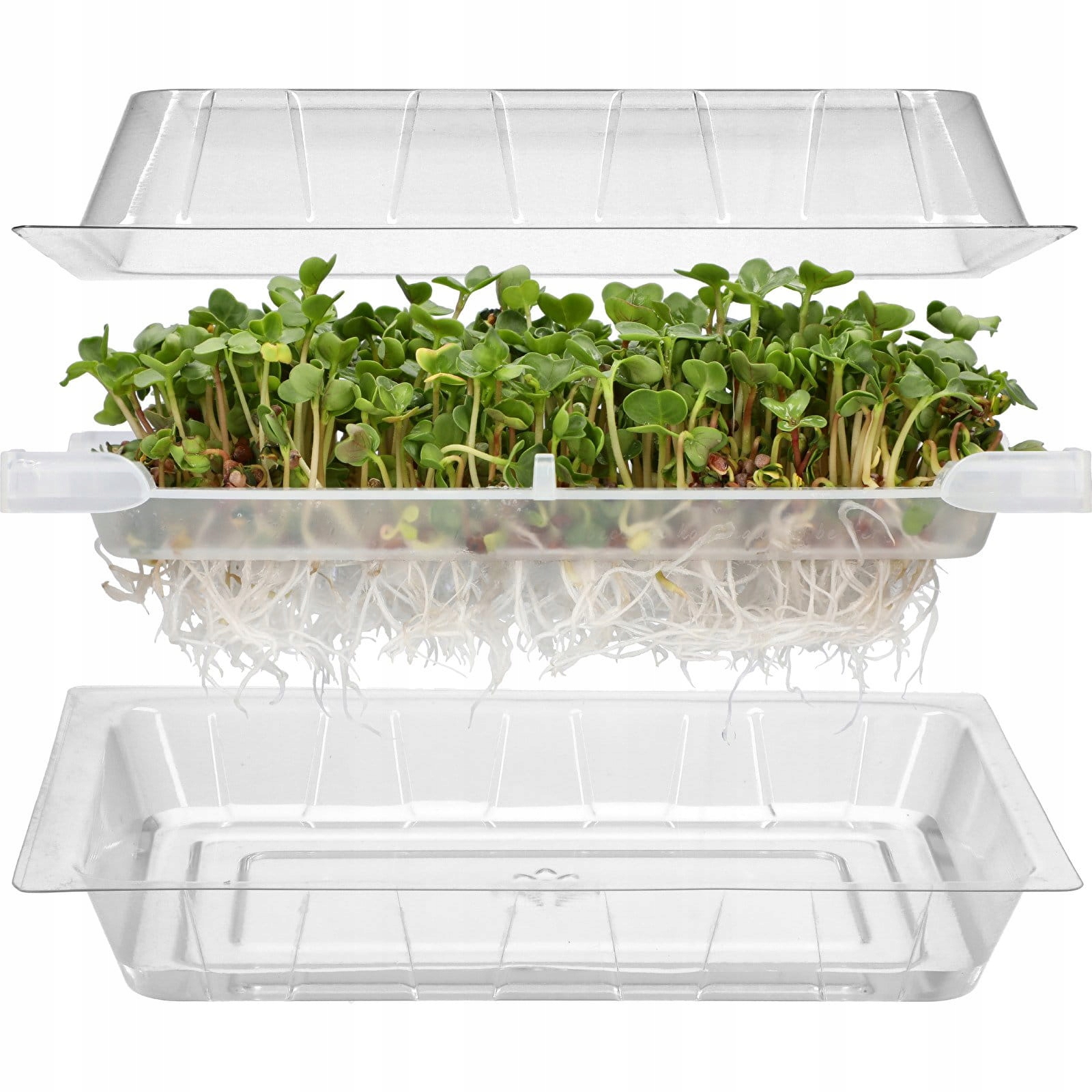 MINI KIEŁKOWNICA PNOS DO DOMOWEJ UPRAWY KIEŁKÓW 1SZT