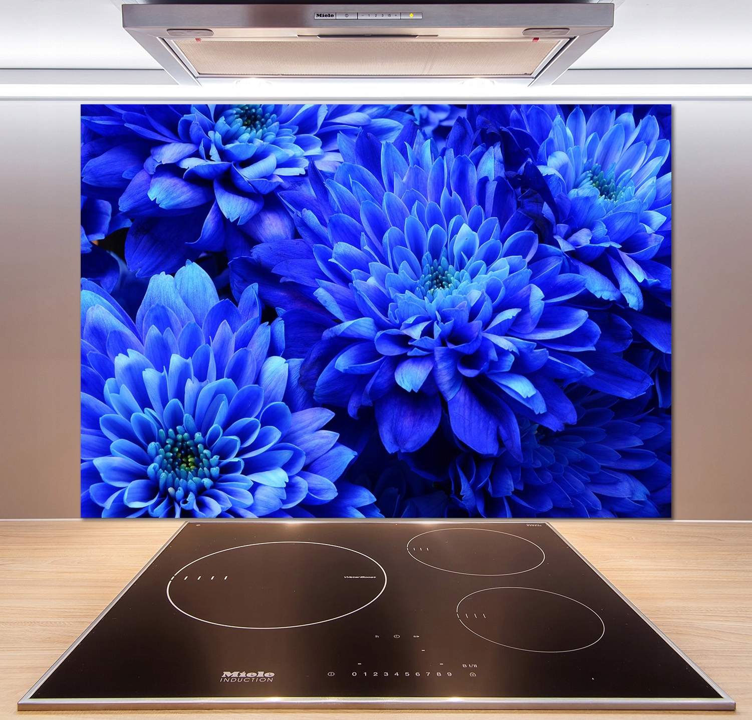 

Panel do kuchni Niebieski aster 100x70 cm + Klej