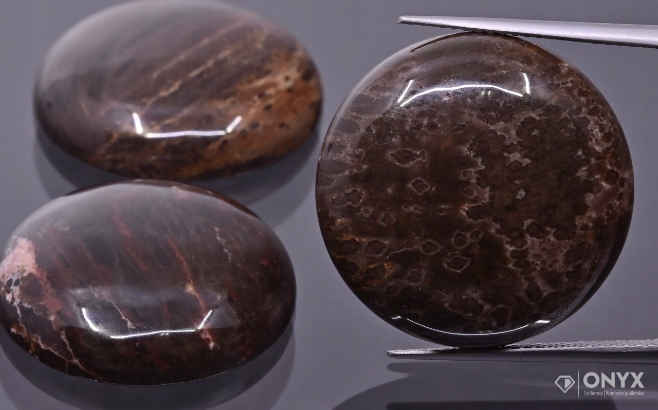 Zkamenělé dřevo kabošon kulatý fi 25 mm