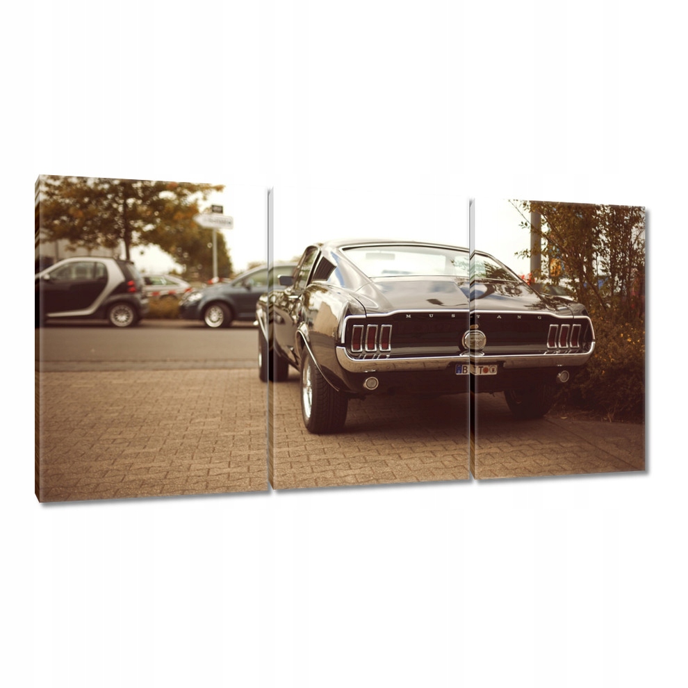 

Obrazy 240x120 Ford Mustang Black-white