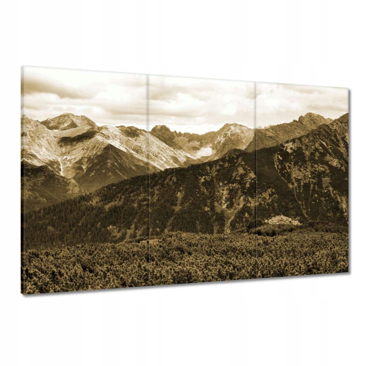 Obrazy 120x80 Tatry Polské hory Pohled