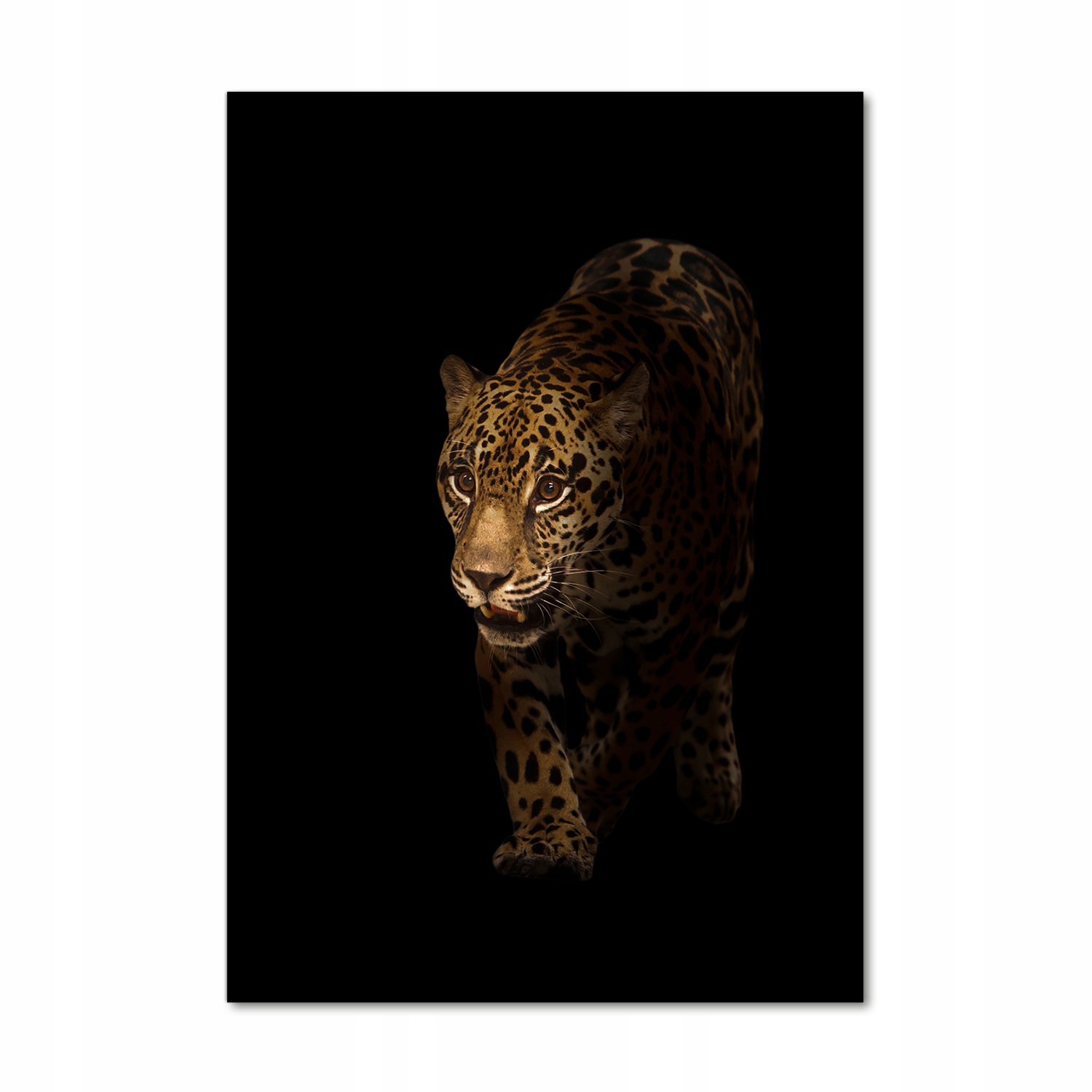 

Nowoczesny szklany obraz ze zdjęcia Jaguar 70x100