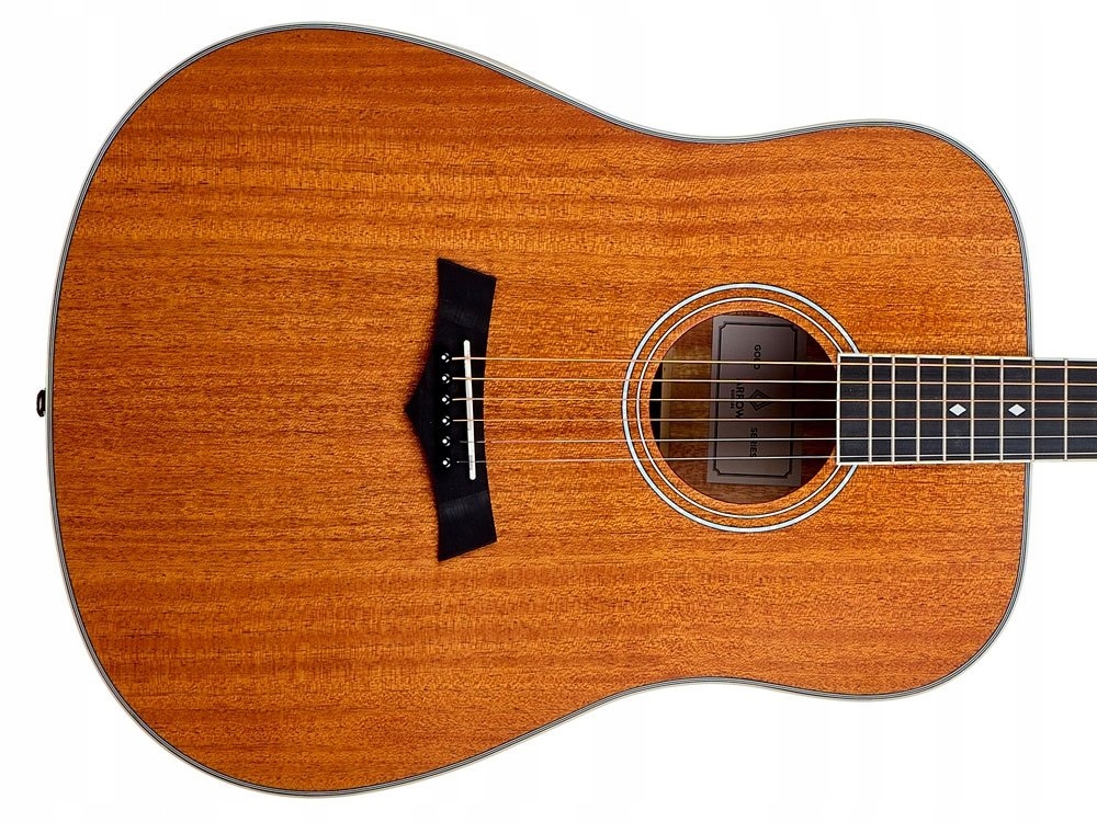 Akustická kytara Arrow Gold D (mh)