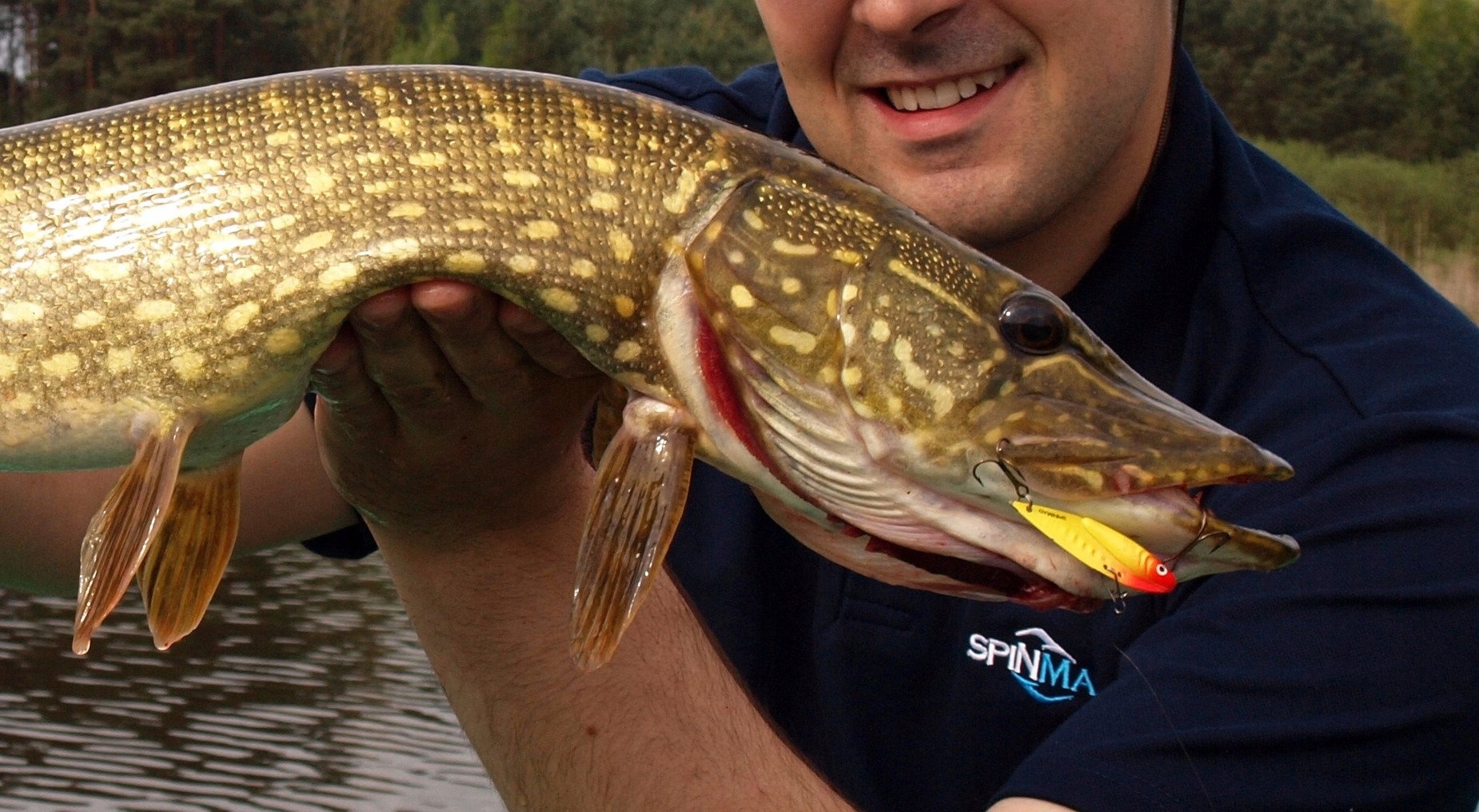 ŁOWNA CYKADA SPINMAD KING 12g - 1602 Marka Spin-Mad