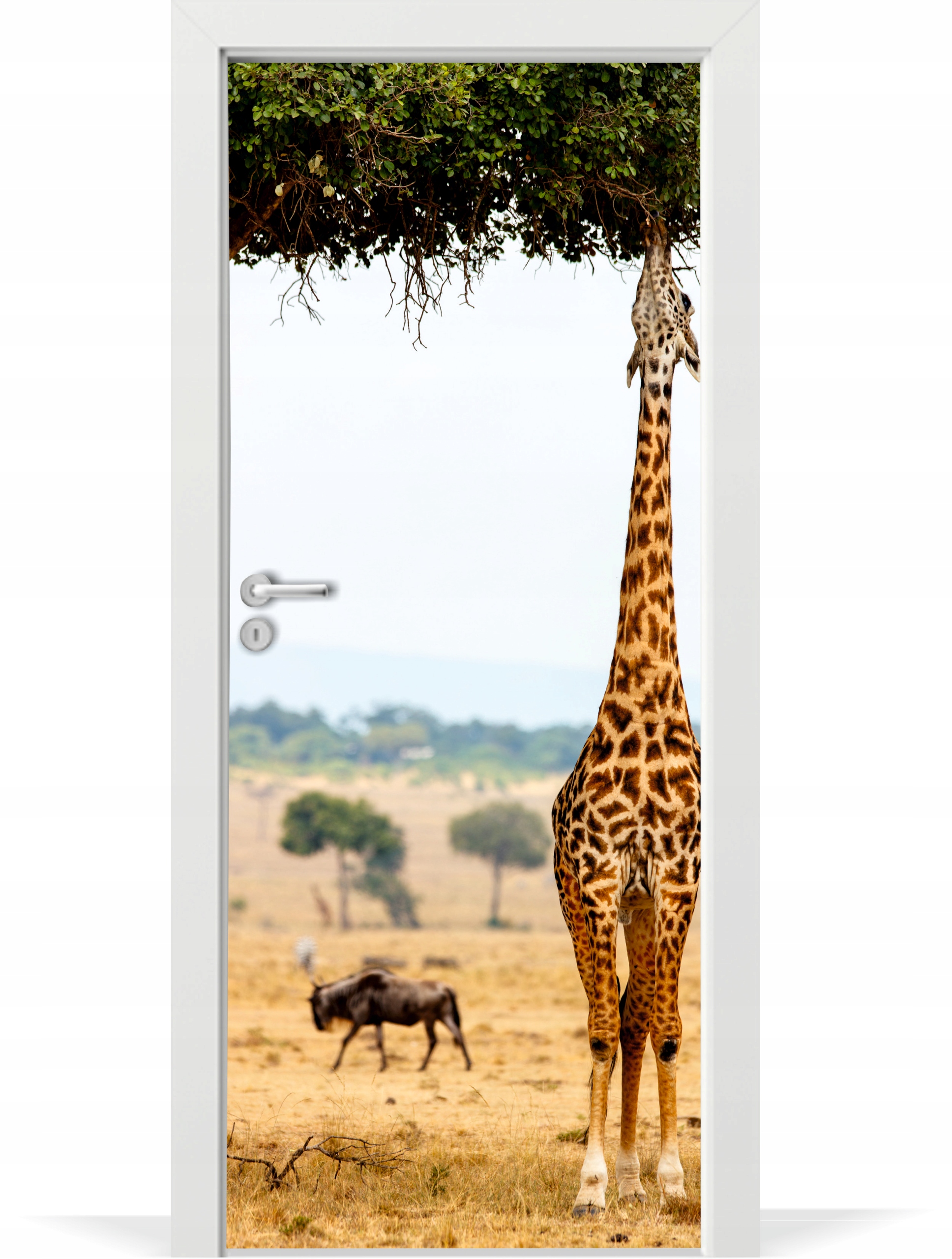 

Folia fototapeta na drzwi Safari żyrafa afryka