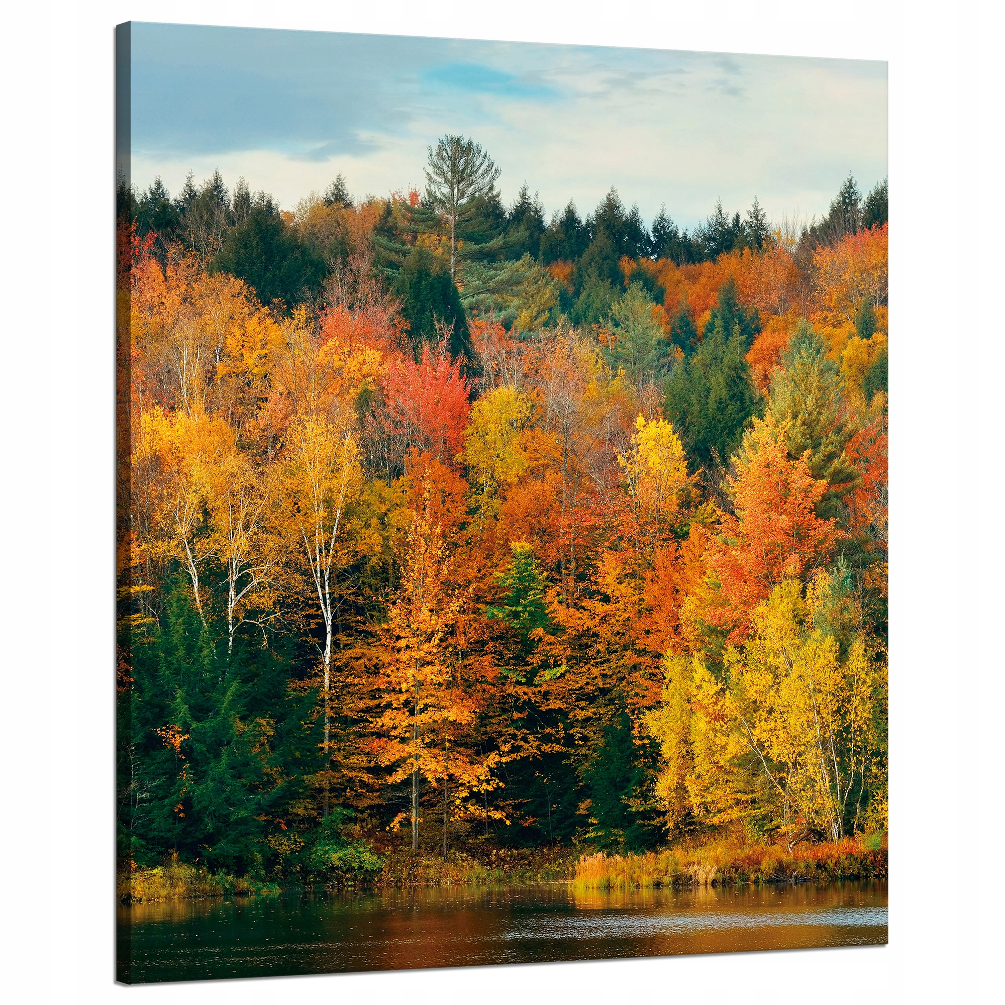 Obraz na plátně Barevné listy Stromy Podzim Příroda 80x100 cm