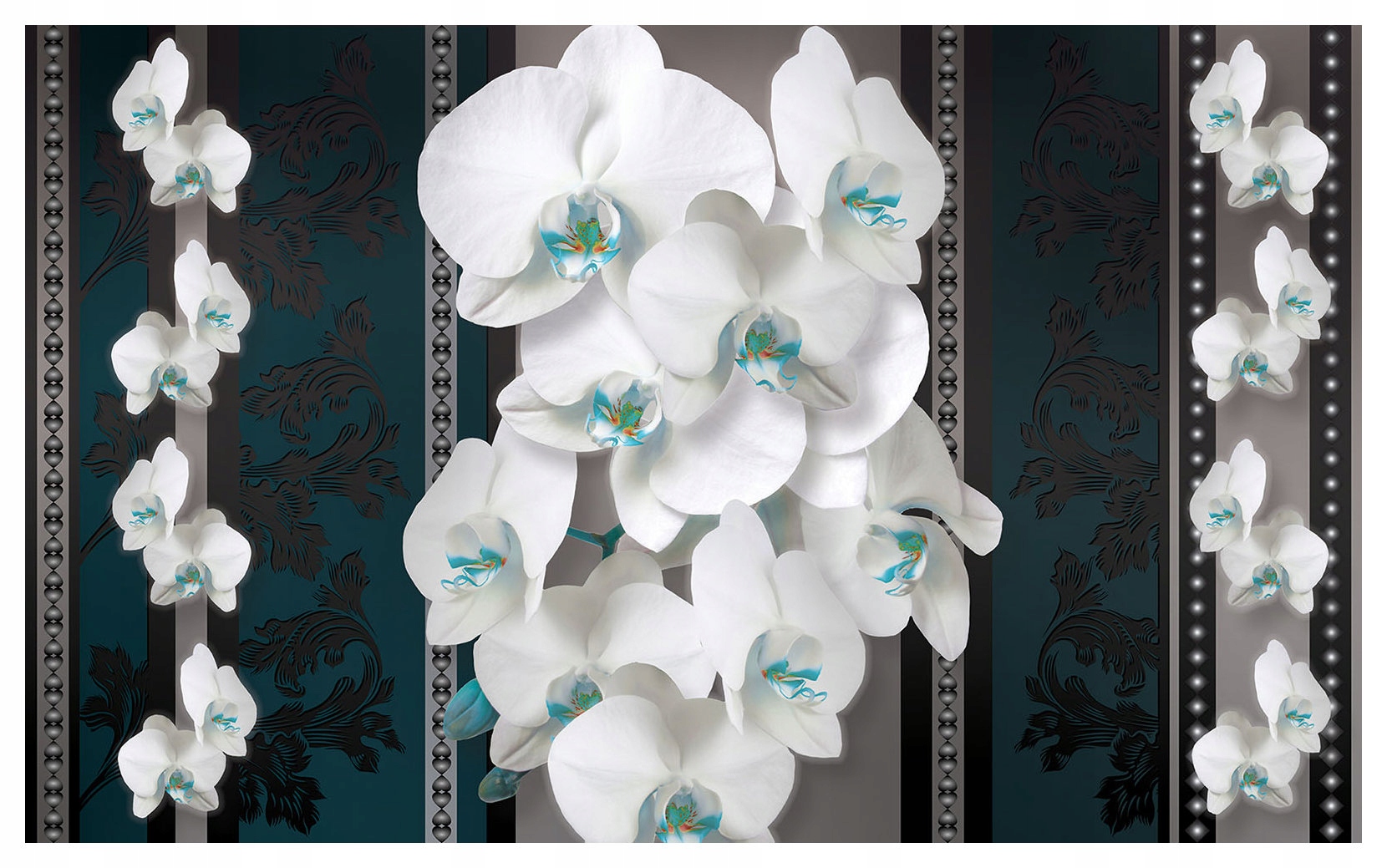Fototapeta flizelina Bílé orchideje na tmavém pozadí 350x250 Elegance lepidlo