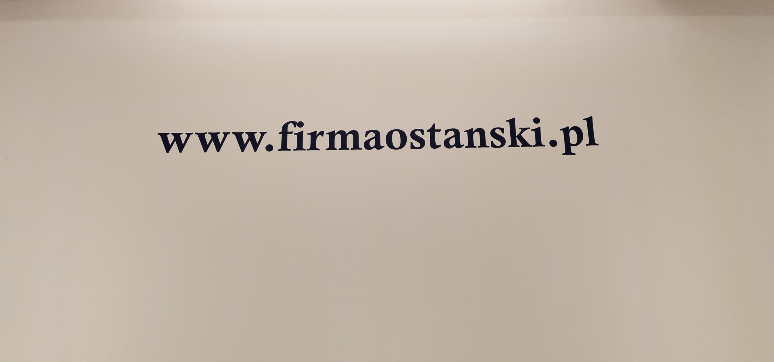 VW T5 LIFT T6 SANKI WÓZEK KOŁYSKA ZAWIESZENIE SILNIKA 7E0499029 Producent części Volkswagen OE