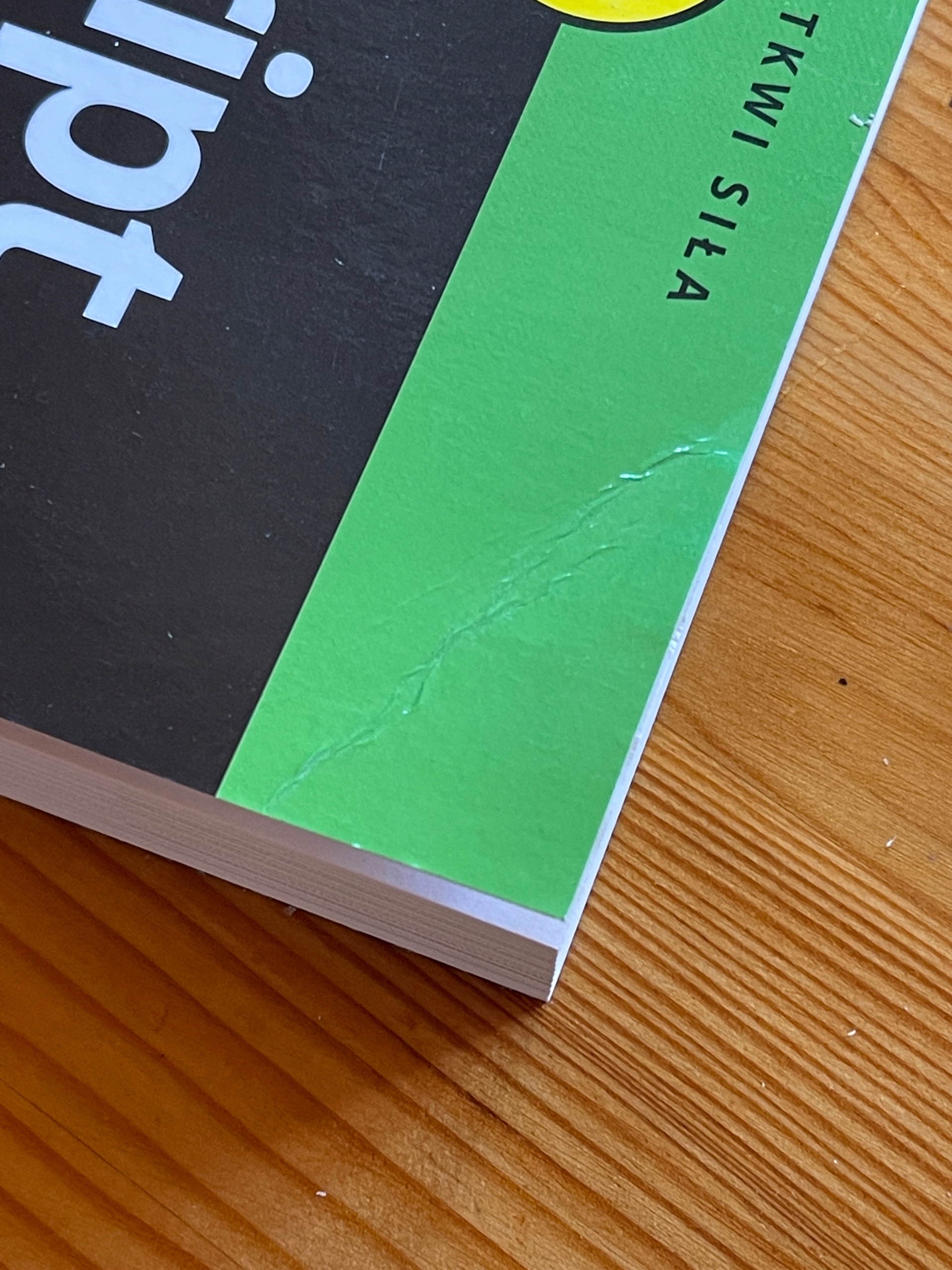 JavaScript dla dzieci Chris Minnick, Eva Holland [seria: dla bystrzaków] Wydawnictwo Helion