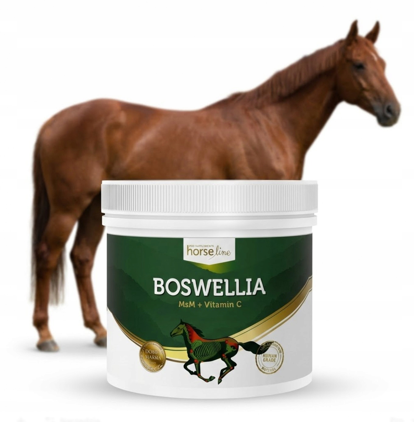 HorseLine Boswellia Seratta 500g Msm Dla Konia
