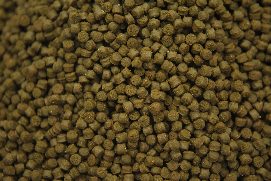 PELLET PROFESS 2mm Method Feeder ORZECH TYGRYSI Marka Profess