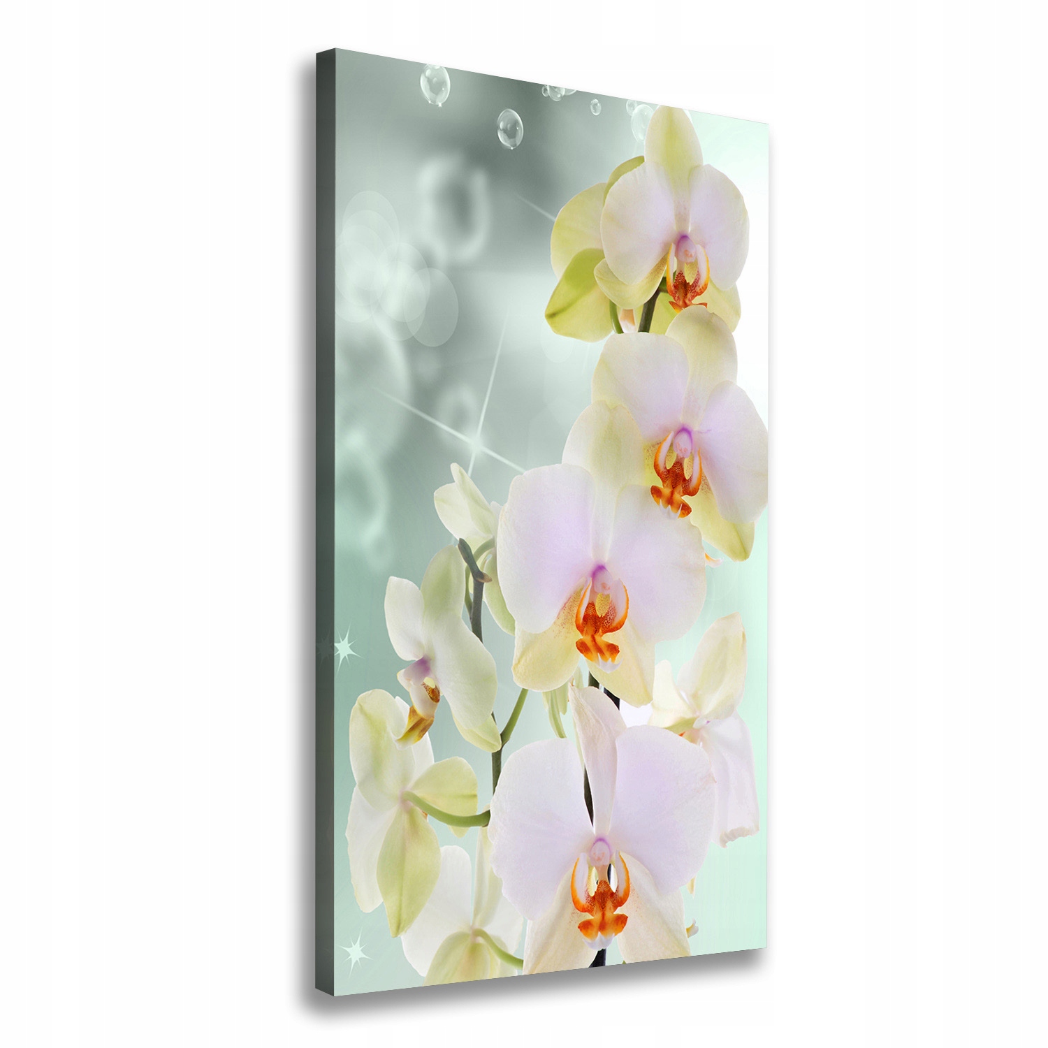 Fotoobraz obraz na plátně do obývacího pokoje Orchidej 70x140 cm
