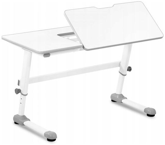 Biurko z regulacją wysokości Fromm Strack 10260366 idealne do biura