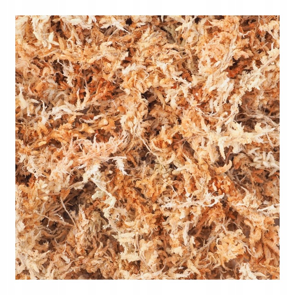 

Mech Torfowiec Sphagnum 1 L martwy